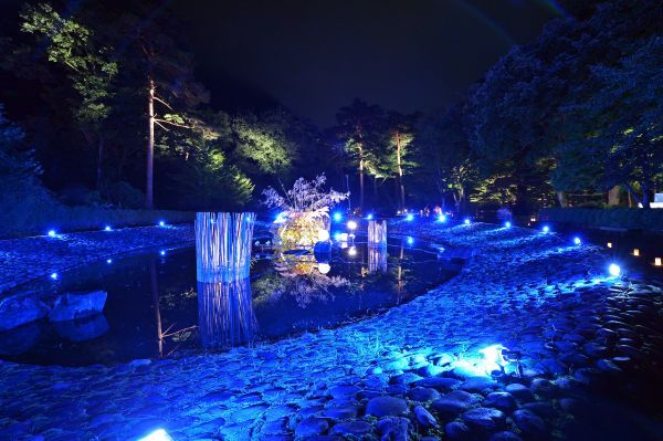 ▲静寂な夜を彩る、光と生け花の世界