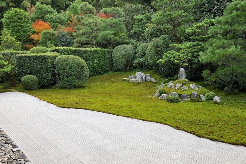 芬陀院　庭園