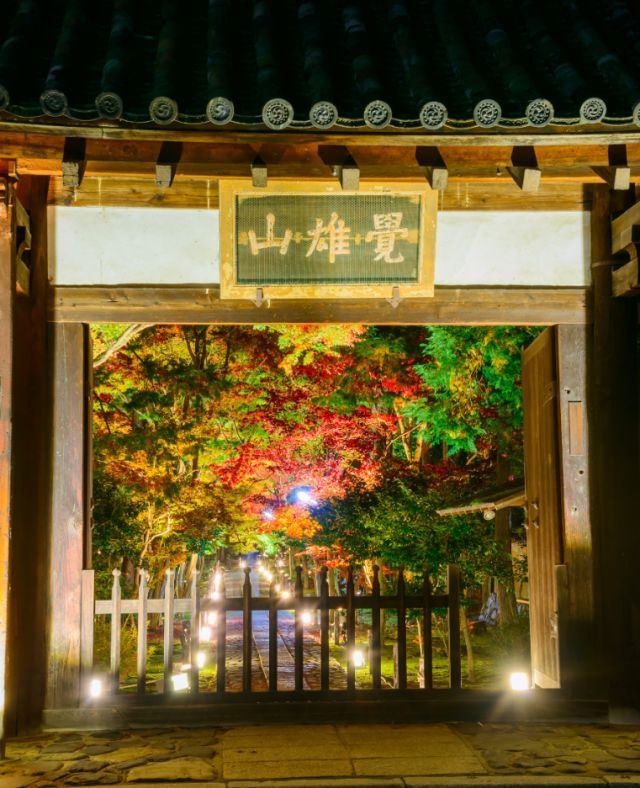 鹿王院夜の特別拝観5