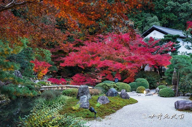 金戒光明寺2