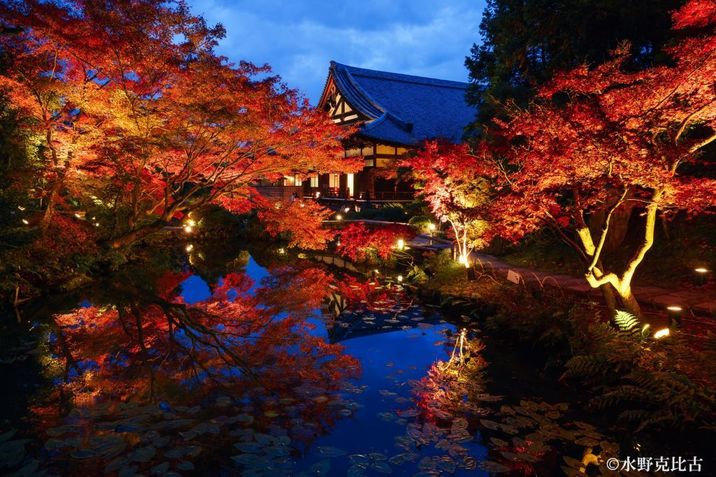 金戒光明寺3