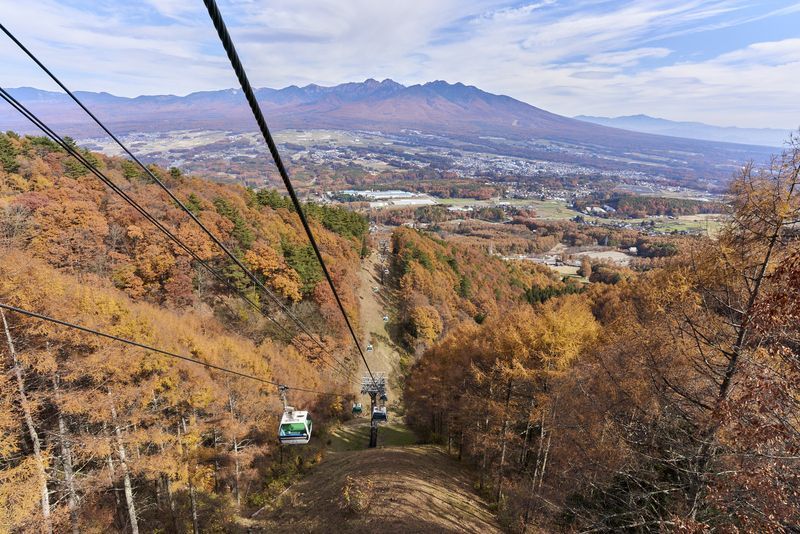 紅葉ゴンドラ