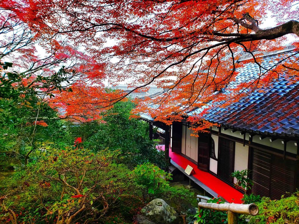 霊鑑寺
