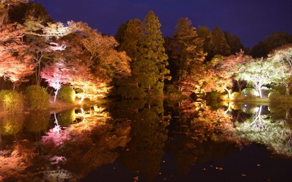 LIGHT CYCLES KYOTO(ライトサイクル京都)