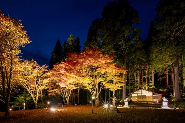 奥飛騨温泉郷で紅葉ライトアップ