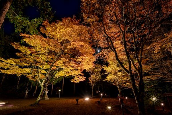 新穂高温泉で紅葉ライトアップ