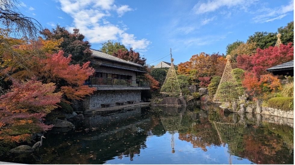 昼間の紅葉