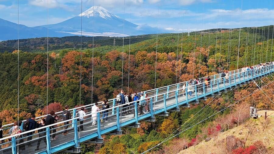 三島スカイウォーク2
