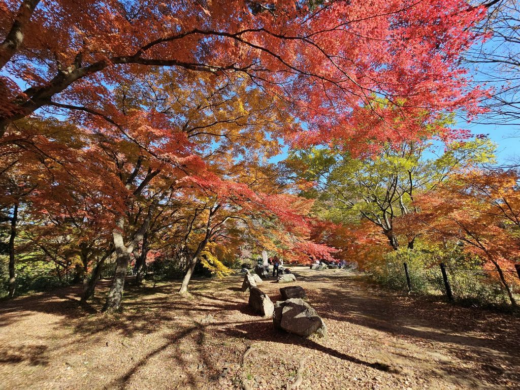 嵐山渓谷