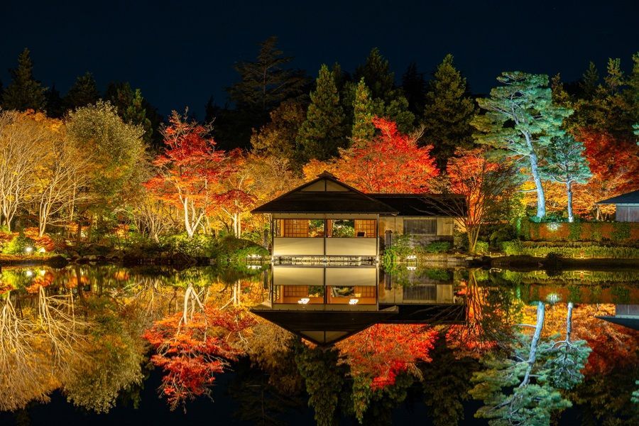 秋の夜散歩