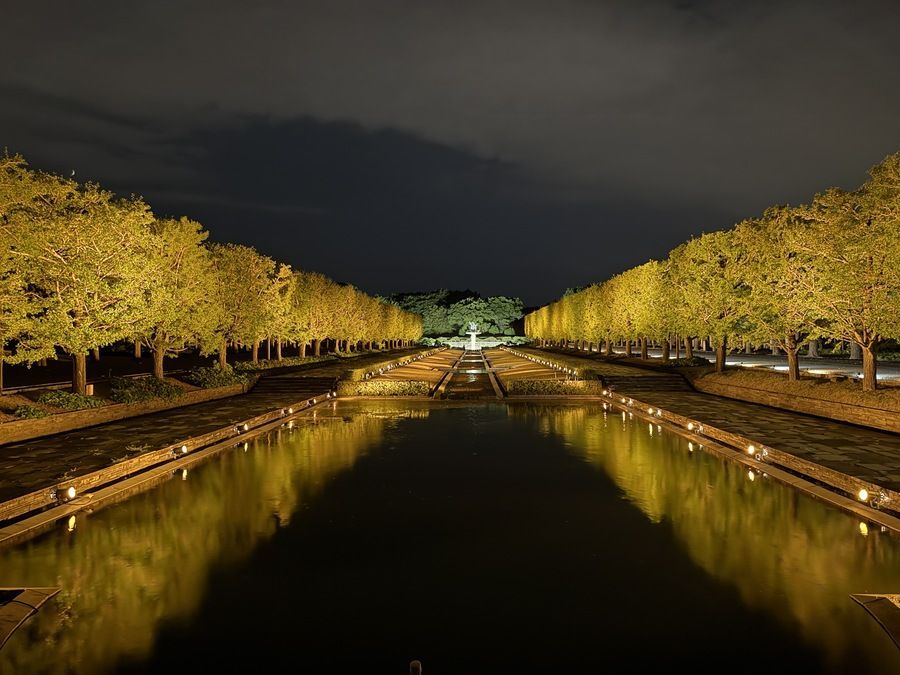 秋の夜散歩2