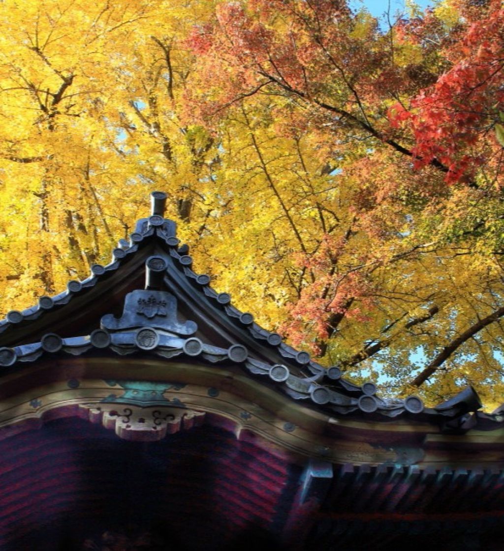 三溪園2