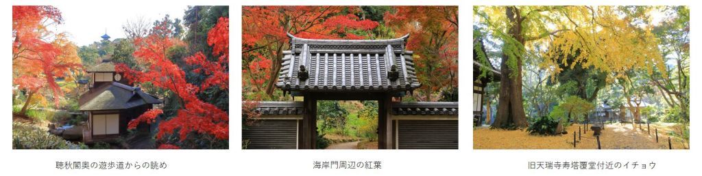 三溪園3