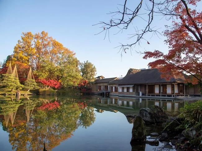 養浩館庭園3