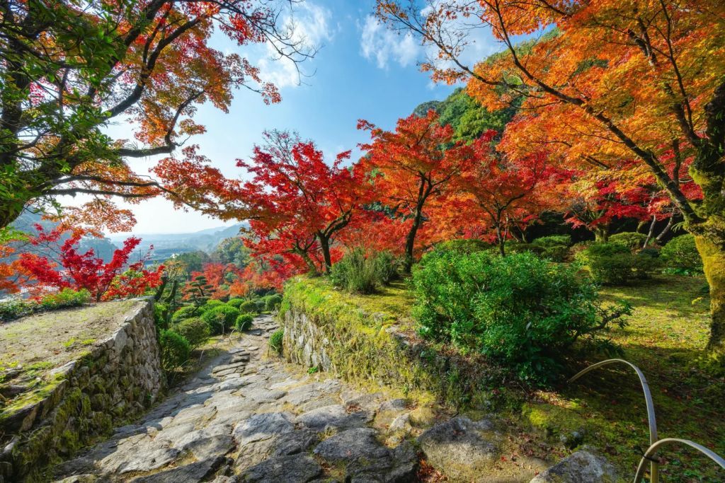 九年庵2