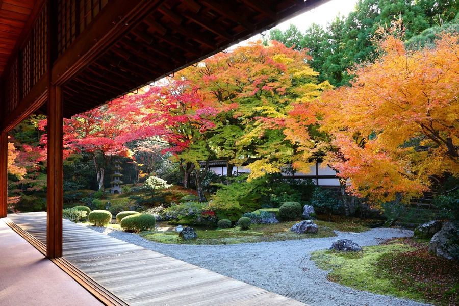 泉涌寺3