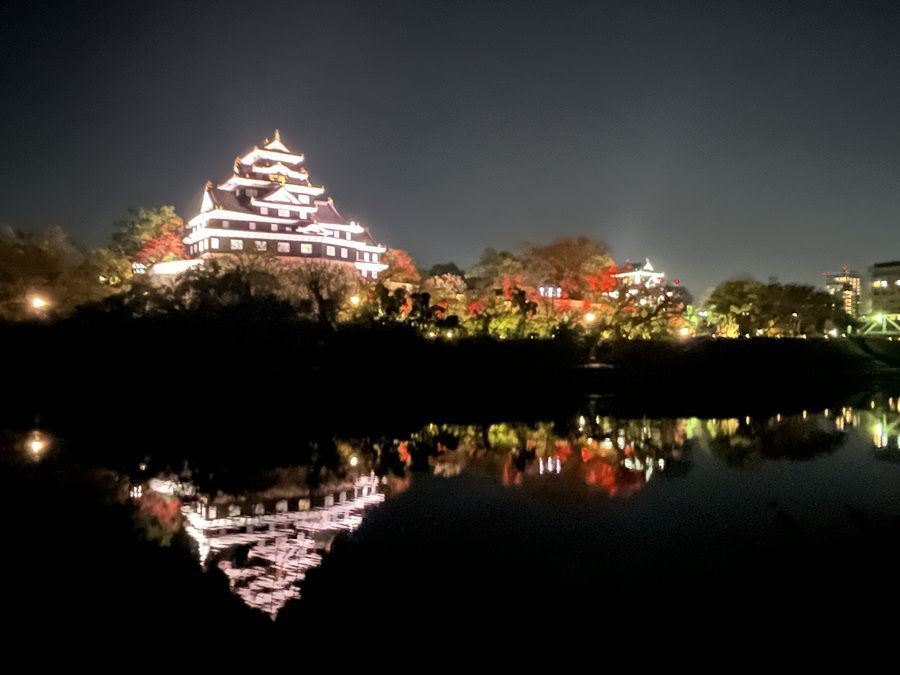 画像提供：おかやま城下町物語実行委員会