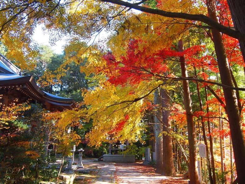 観音寺(かんのんじ)