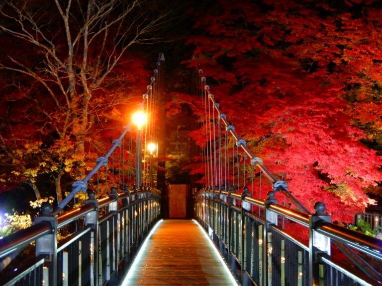 紅の吊橋