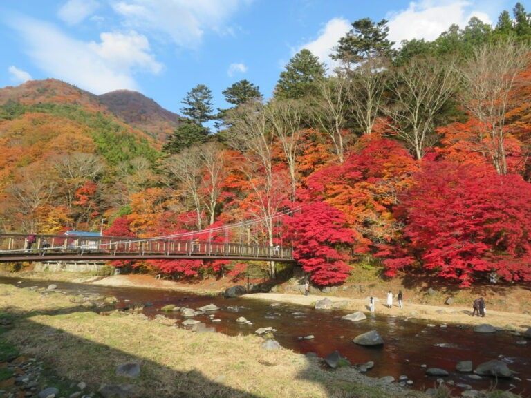 紅の吊橋2