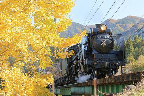 ローカル鉄道旅