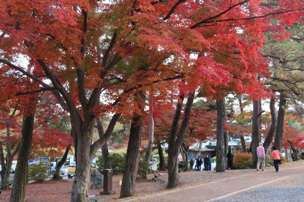 埼玉県立自然の博物館