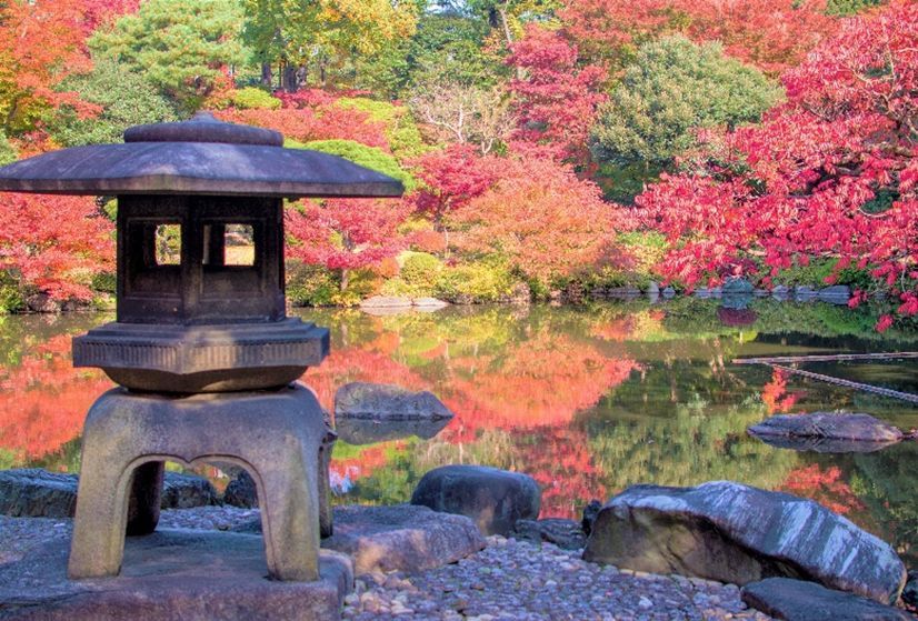 紅葉とバラ、和と洋の秋4