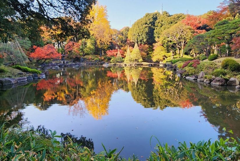 紅葉とバラ、和と洋の秋5