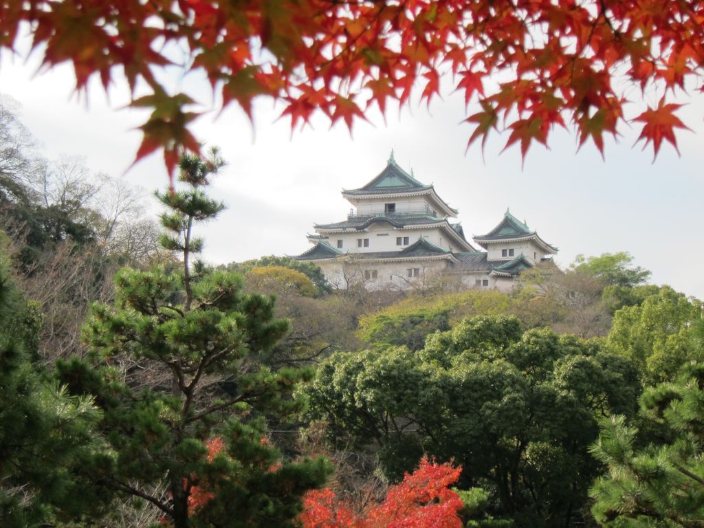 秋の和歌山城