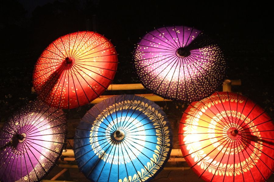 竹あかりと紅葉のライトアップ3昨年度