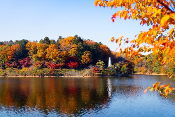 宮沢湖の向こうに見える灯台と紅葉