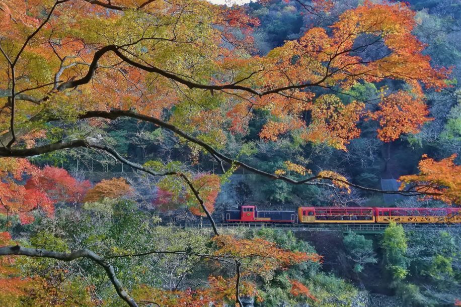 嵯峨野観光鉄道の風景