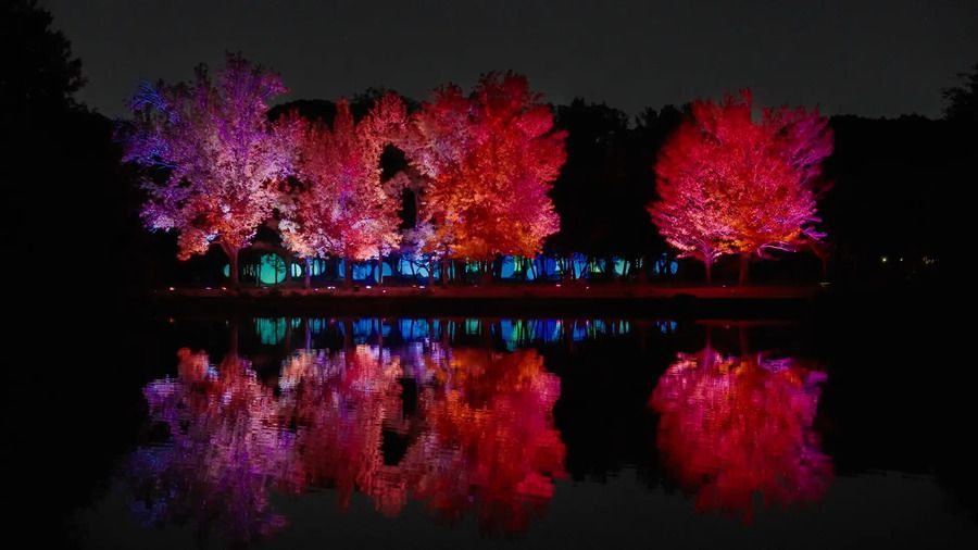 チームラボ《呼応する木々 - フウ》© チームラボ2