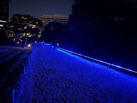 青く浮かび上がる園路(イメージ)