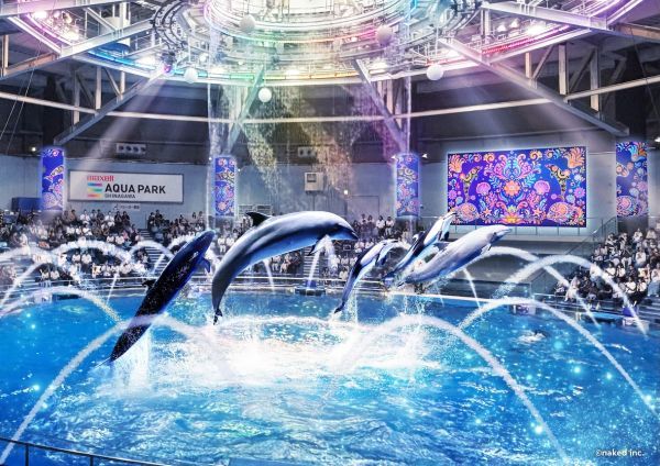 Autumn Dolphin Festa　※イメージ
