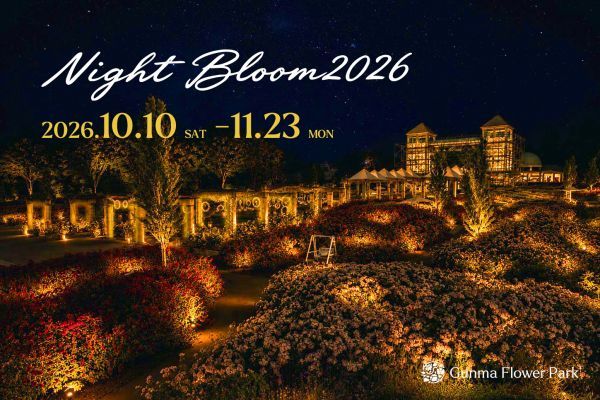 ぐんまフラワーパークプラス Night Bloom
