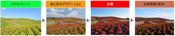 紅葉予想（9月30日現在）