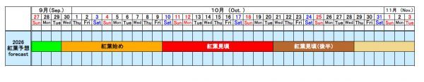 色合いの変化