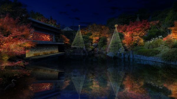 秋の庭園ライトアップ『TERASU2026』