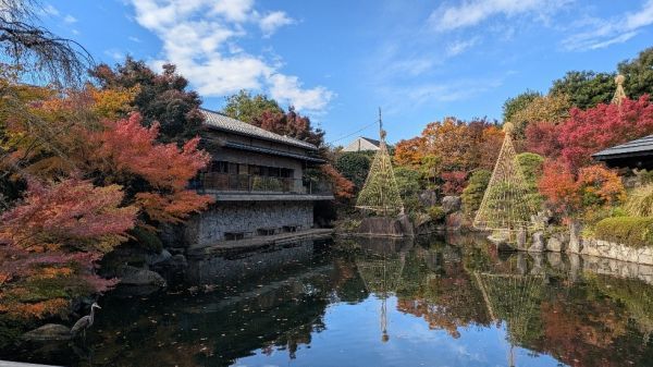秋の日本庭園の景色をお楽しみください。
