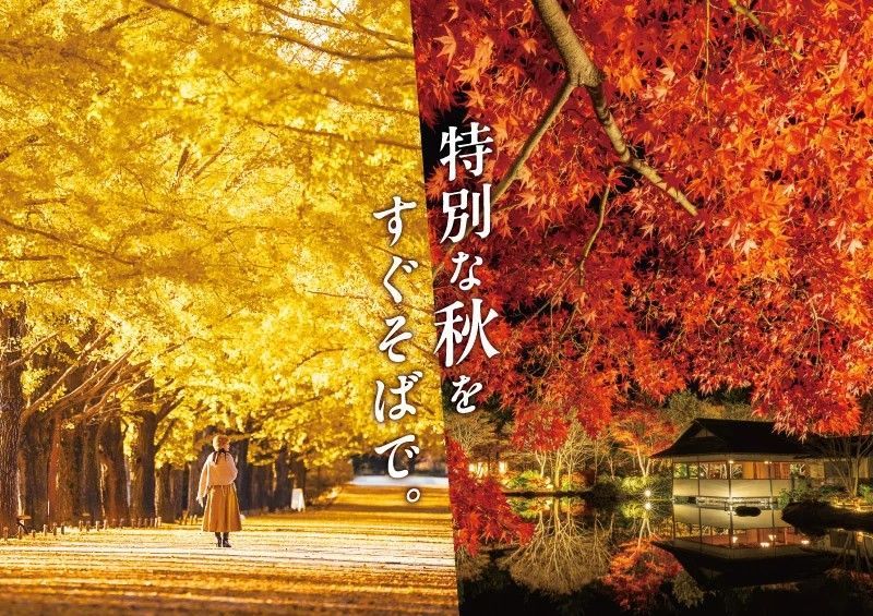 黄葉・紅葉まつり＆秋の夜散歩2026
