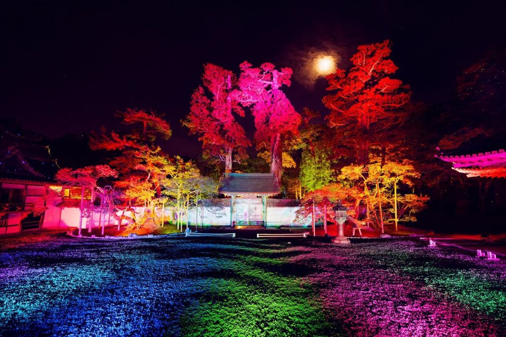 ライトアップされた瑞巌寺の参道