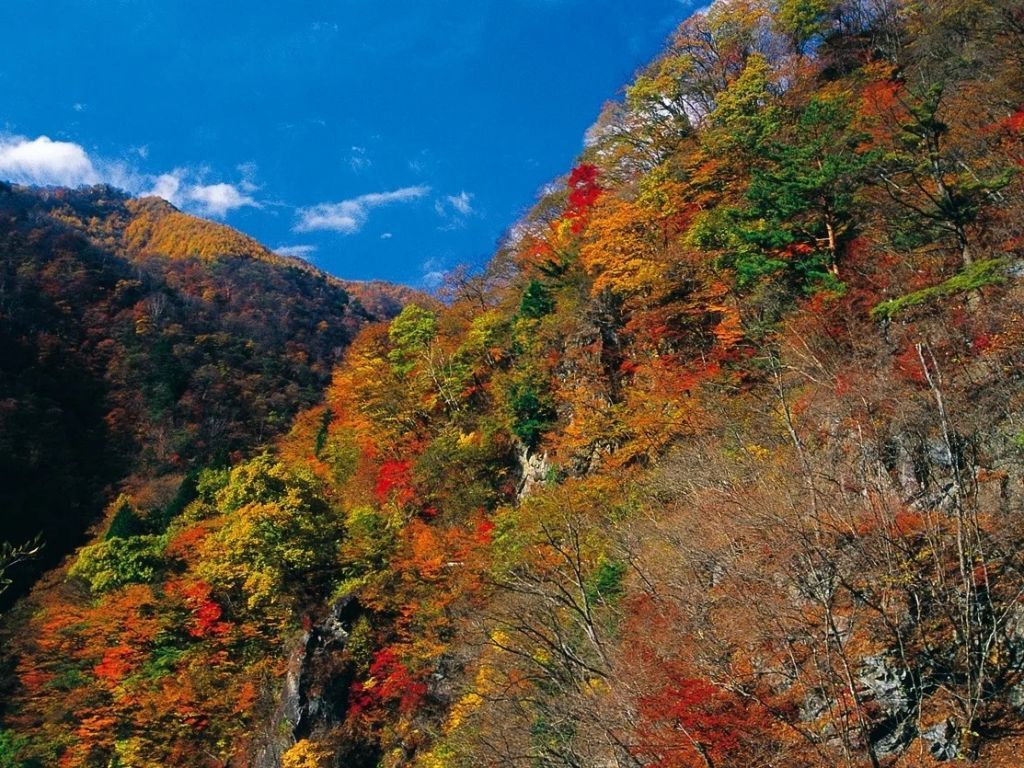 庚申山の紅葉