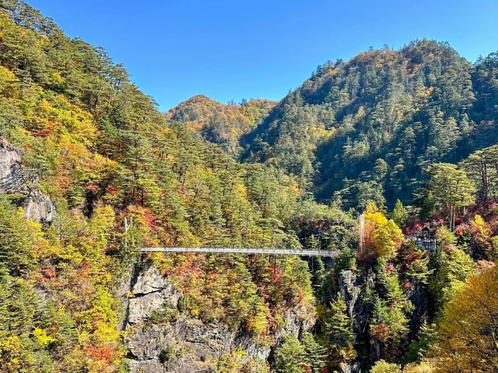 紅葉に彩られた瀬戸合峡と渡らっしゃい吊橋