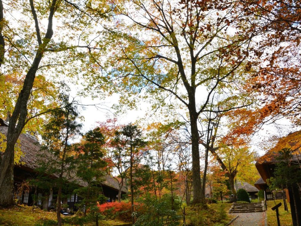 紅葉に包まれた平家の里