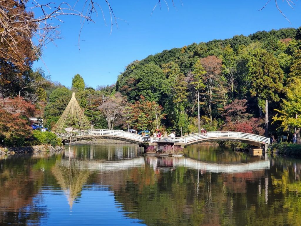 昼の薬師池とたいこ橋