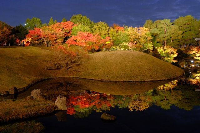 ライトアップされた朱雀の庭の逆さ紅葉