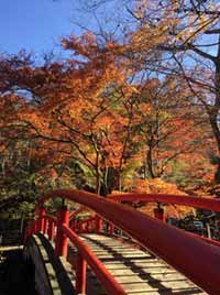 伊香保温泉 河鹿橋周辺の紅葉が秋色に色づいています（2017年11月6日時点）