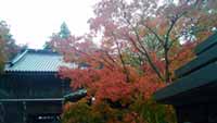 2018年の高尾山の紅葉は例年よりやや早めの色づきと予想（2018年10月30日時点）