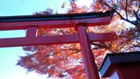高尾山、紅葉がまもなく見ごろに。高尾山BBQマウントも開催(2017年11月14日時点)